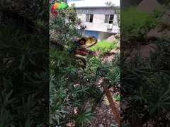 डिनो पार्क के लिए पनरोक डायनासोर खेल का मैदान उपकरण एनिमेट्रोनिक डायनासोर कठपुतली