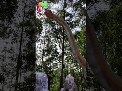 सनप्रूफ 15M जायंट एनिमेट्रोनिक डायनासोर जुरासिक पार्क ब्रैकियोसौरस एनिमेट्रोनिक