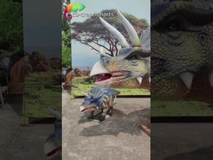 यथार्थवादी एनिमेट्रोनिक ट्राइसेराटोप्स ट्रिओः गतिशील गति और प्रागैतिहासिक प्रदर्शन के साथ गर्जन समूह