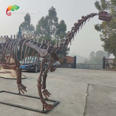 सीई डायनासोर कंकाल प्रतिकृति शुनोसॉरस कंकाल मौसम प्रतिरोध