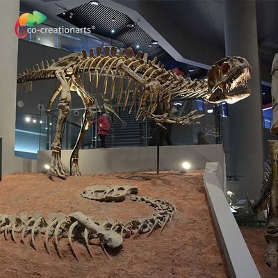खरीदें landscape decoration Outdoor Yangchuanosaurus Skeleton Dinosaur Replica Fossil online manufacture
