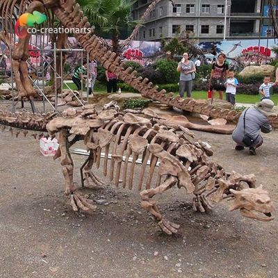 पार्क सजावट डायनासोर कंकाल प्रतिकृति लाइफ साइज सनप्रूफ