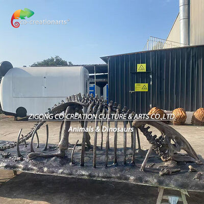 खरीदें फाइबरग्लास डायनासोर कंकाल जीवाश्म Parasaurolophus कंकाल प्रतिकृतियां ऑनलाइन निर्माण