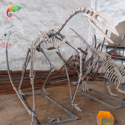 अच्छी कीमत संग्रहालय प्रदर्शनी राल डायनासोर कंकाल Quetzalcoatlus कंकाल अनुकूलन योग्य ऑनलाइन