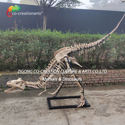 अच्छी कीमत अत्यधिक विस्तृत आउटडोर सजावट राल डायनासोर कंकाल प्रतिकृति टी-रेक्स कंकाल ऑनलाइन
