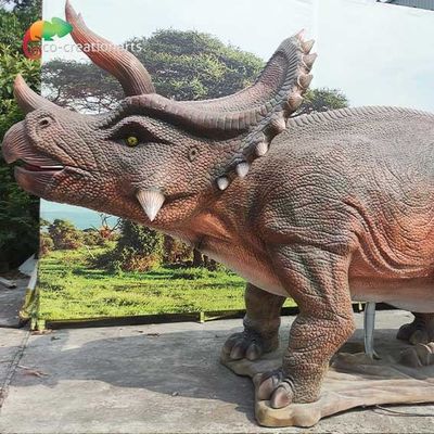 नाम