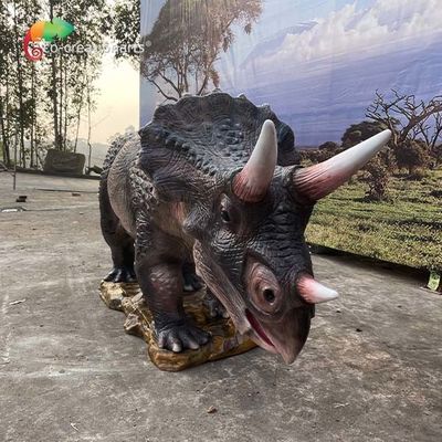 नाम