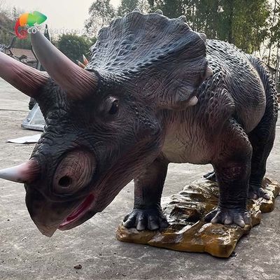 नाम