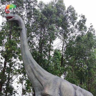नाम
