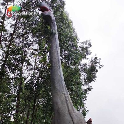 नाम