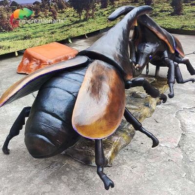 नाम