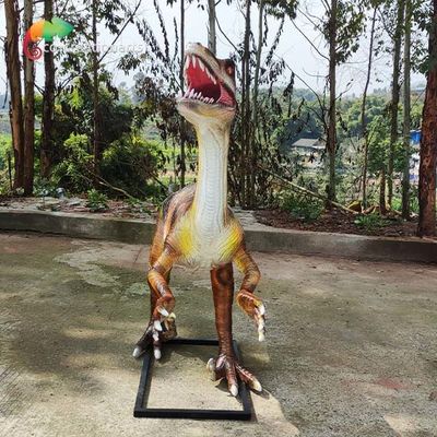 नाम