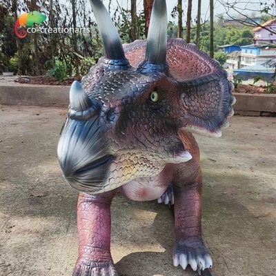 नाम
