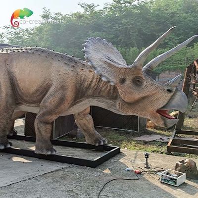 नाम