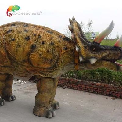 नाम