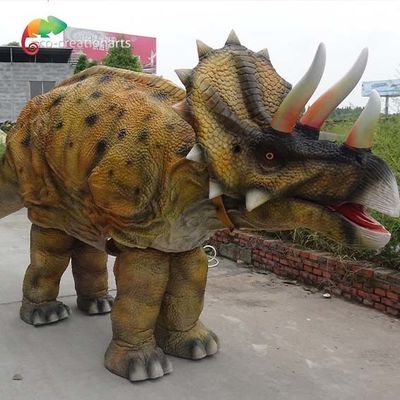 नाम
