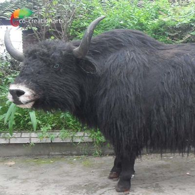 नाम
