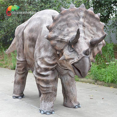 नाम