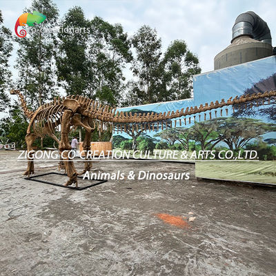 नाम