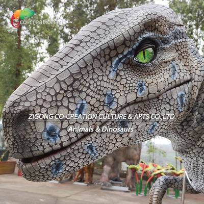 नाम