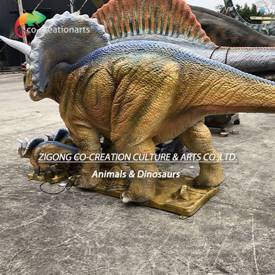 नाम