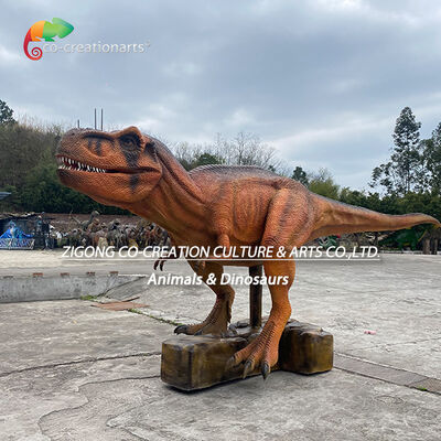 नाम